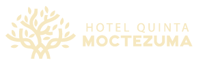 Hotel Quinta Moctezuma