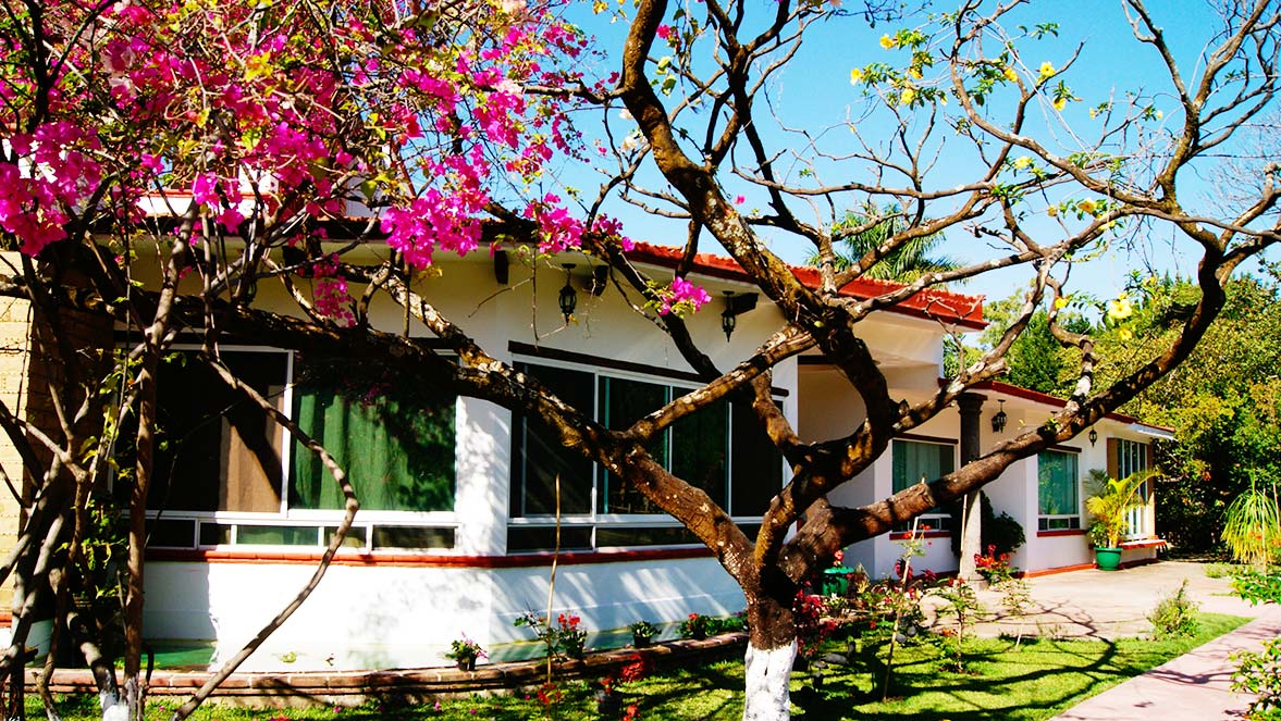 Restaurante Amaranto