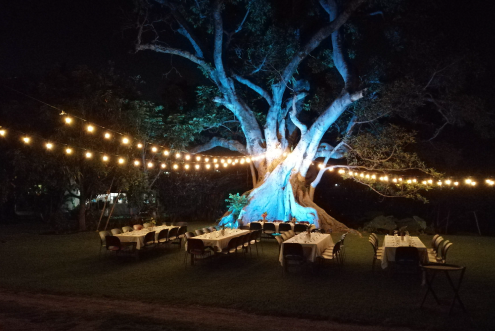Jardín de eventos Hotel Quinta Moctezuma