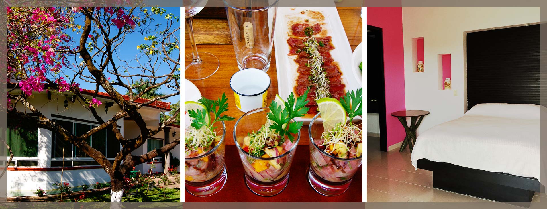 Servicios Hotel Quinta Moctezuma